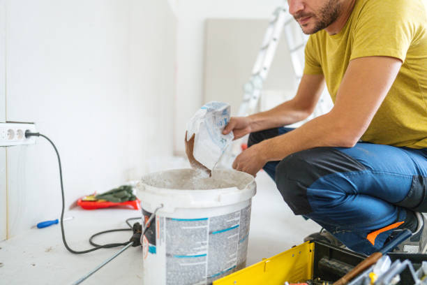Forensic Mold Investigation in Ferry Pass, FL