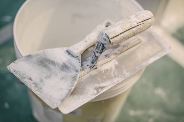 Trusted Ferry Pass, FL Mold Removal Experts